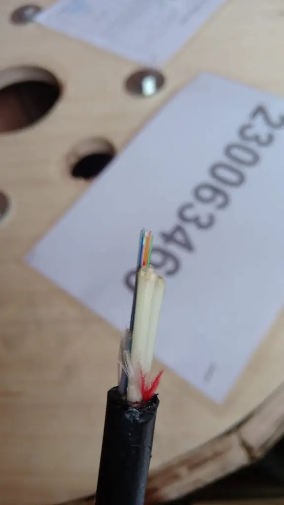 WhatsApp Image 2025-07-28 at 4.07.07 PM.webp