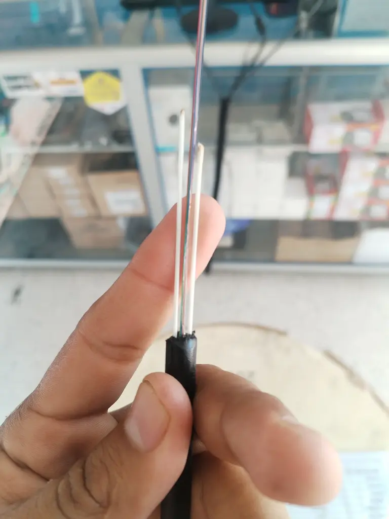 WhatsApp Image 2025-07-28 at 3.37.30 PM.webp